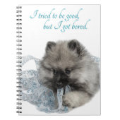 Notitieboek met gestreept papier (Voorkant)