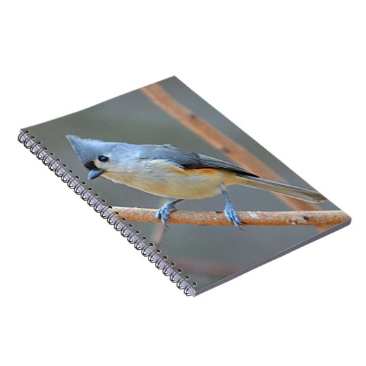 Notitieboek met getufte Titmouse (Rechterzijde)