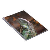 Notitieboek met kleurrijke Iguana hagedis (Rechterzijde)