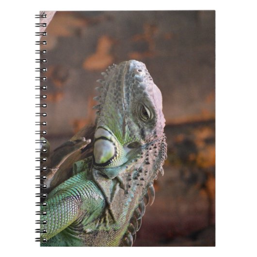 Notitieboek met kleurrijke Iguana hagedis (Voorkant)