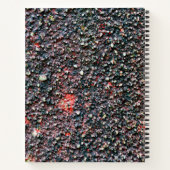 notitieboek met kruidnagelrok (Achterkant)