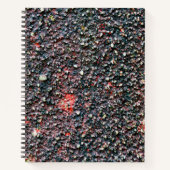 notitieboek met kruidnagelrok (Voorkant)