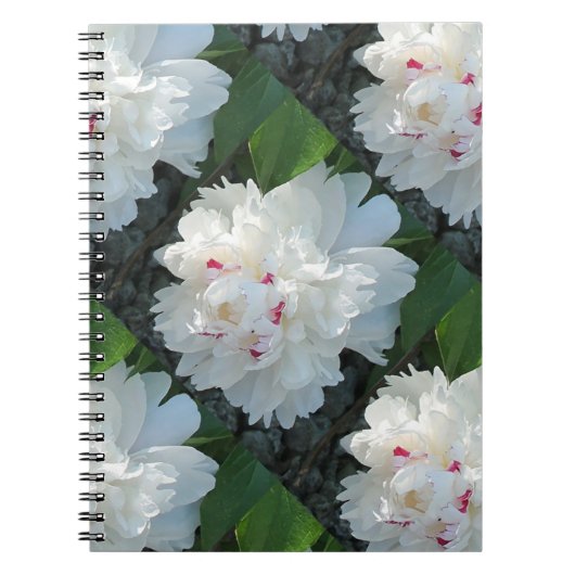 Notitieboek met meerdere kostbare peony's (Voorkant)