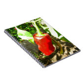 Notitieboek met rode capsicum (Rechterzijde)