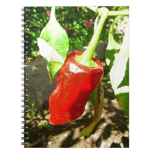Notitieboek met rode capsicum (Voorkant)