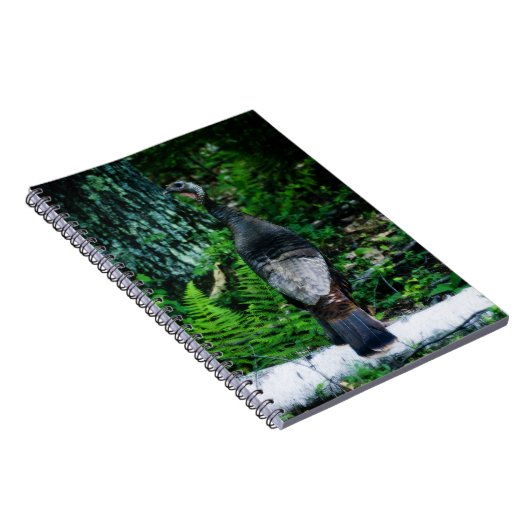 Notitieboek Moeder-Turkije (Rechterzijde)