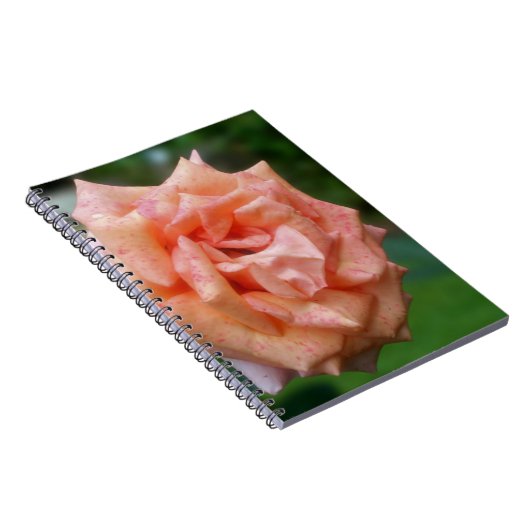 Notitieboek Natuur    met gemotteld Roos (Rechterzijde)