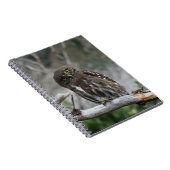Notitieboek Noord-Pygmy Owl (Rechterzijde)