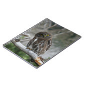 Notitieboek Noord-Pygmy Owl (Linkerzijde)
