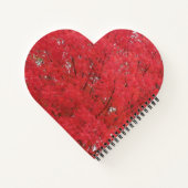 Notitieboek Oranje vallederen (Achterkant)