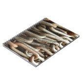 Notitieboek oude kettingfoto (Linkerzijde)