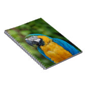 notitieboek _ papegaai (Rechterzijde)