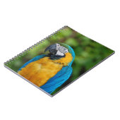 notitieboek _ papegaai (Linkerzijde)