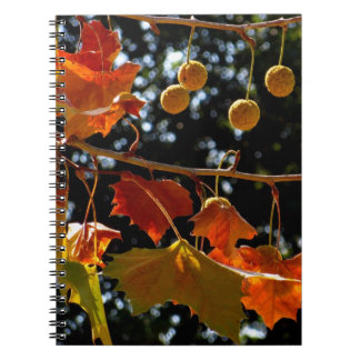 Notitieboek / Persoonlijk dagboek - Sycomore en he