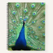 Notitieboek - Portret Peacock (Voorkant)
