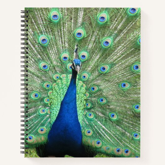Notitieboek - Portret Peacock (Voorkant)