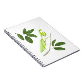 Notitieboek Praying Mantis (Rechterzijde)