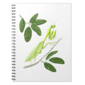 Notitieboek Praying Mantis (Voorkant)