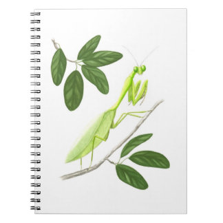 Notitieboek Praying Mantis