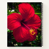 notitieboek "Red Hibiscus" (Achterkant)