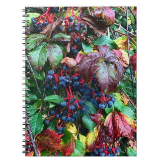 Notitieboek rijke kleuren