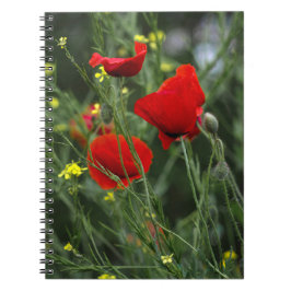 Notitieboek - Rode Klaprozen