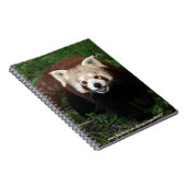 notitieboek - rode panda (Rechterzijde)
