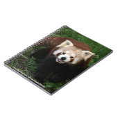 notitieboek - rode panda (Linkerzijde)