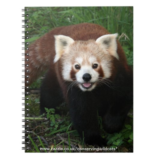 notitieboek - rode panda (Voorkant)