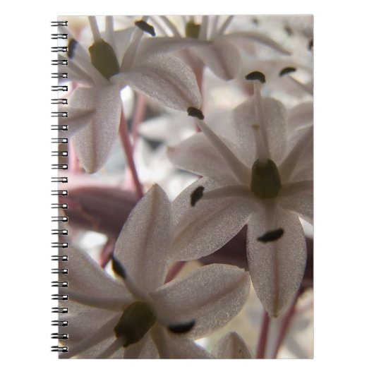 Notitieboek Roze bloemen (Voorkant)