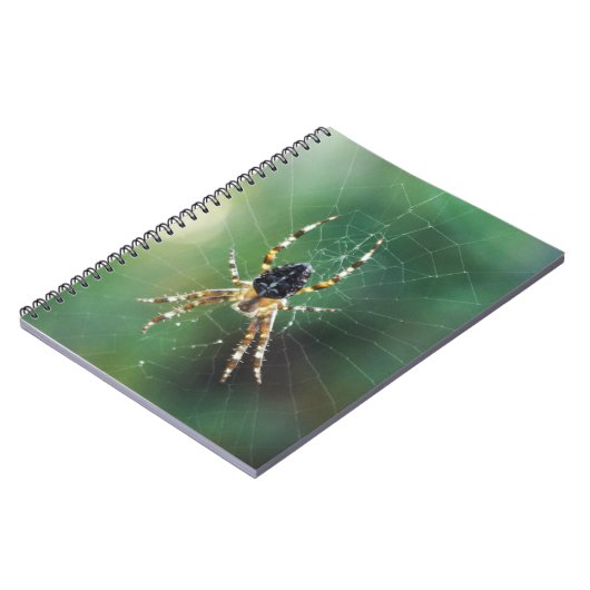 Notitieboek spinspin (80 pagina's B&W) (Linkerzijde)