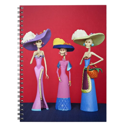 Notitieboek Tres Catrinas (Voorkant)