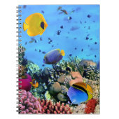 Notitieboek-tropische vis notitieboek (Voorkant)