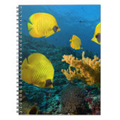 Notitieboek-tropische vis notitieboek (Voorkant)