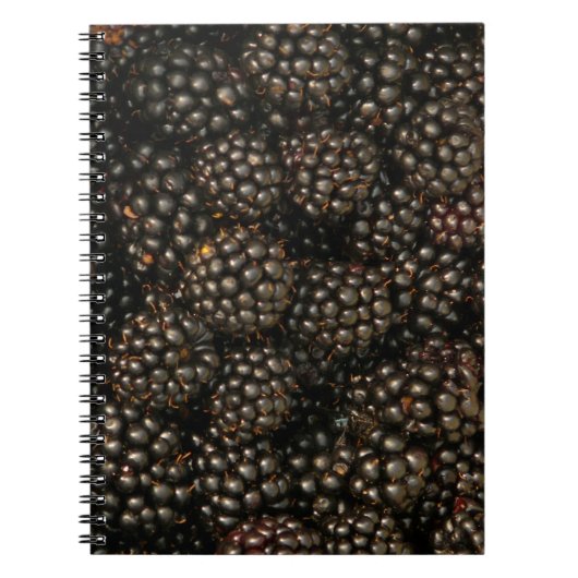 Notitieboek van Blackberries (Voorkant)