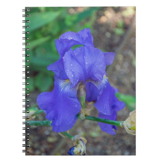 Notitieboek van blauwe irisbloem (Voorkant)
