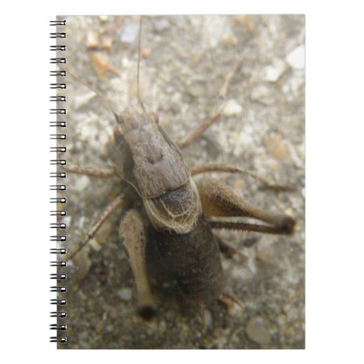 Notitieboek van bruine velcricket (Voorkant)