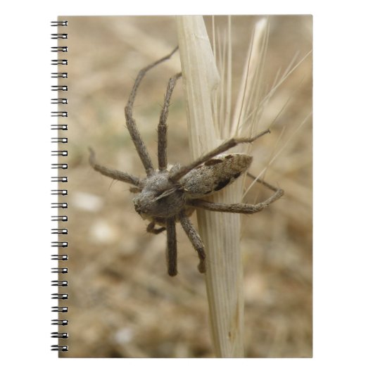 Notitieboek van Creepy Crawly Spider (Voorkant)