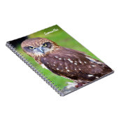 Notitieboek van de boomstam Owl (Rechterzijde)
