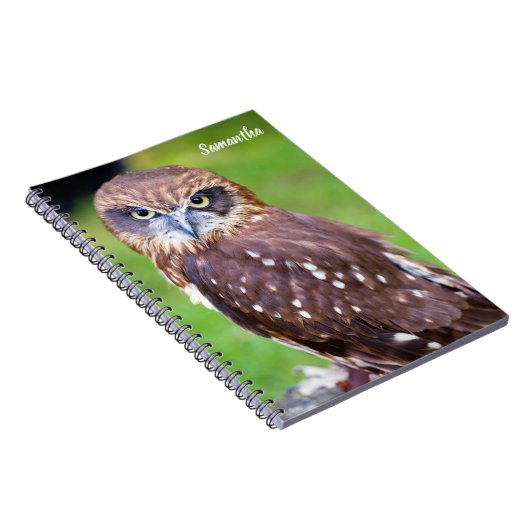 Notitieboek van de boomstam Owl (Rechterzijde)