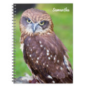 Notitieboek van de boomstam Owl (Voorkant)