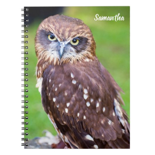 Notitieboek van de boomstam Owl (Voorkant)