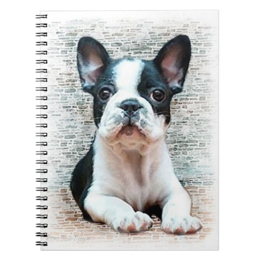 Notitieboek van de Franse Bulldog (Voorkant)