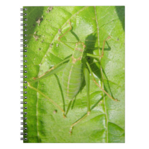 Notitieboek van de Groene Cricket Camouflage