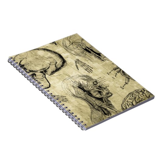  Notitieboek van de menselijke anatomie (Rechterzijde)