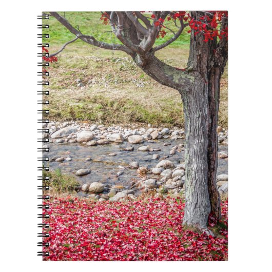 Notitieboek van de rode herfstboom (Voorkant)