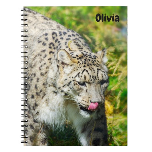 Notitieboek van de spiral van de sneeuwknol (Voorkant)
