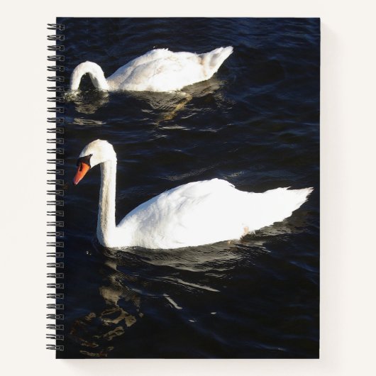 Notitieboek van de Stomme Swans (Voorkant)