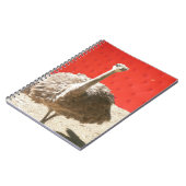 Notitieboek van de struisvogel (Linkerzijde)