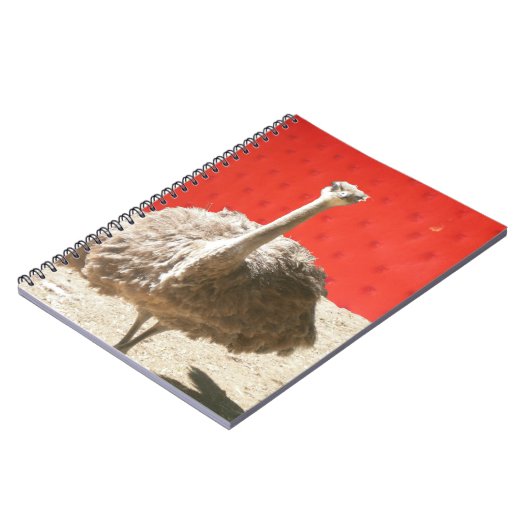 Notitieboek van de struisvogel (Linkerzijde)